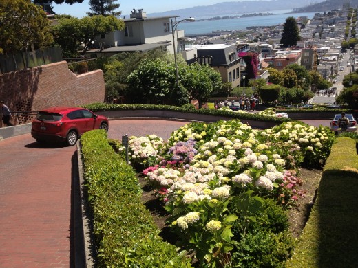 Lombard St San Fran